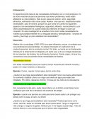 Ensayo de la Piramide Maslow