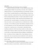 Video análisis el octavo dia