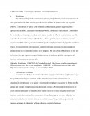 Descripción de la Tecnología o términos mencionados en el caso