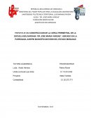 BREVE DESCRIPCION DE LA SITUACION PROBLEMATIZADORA QUE ESTA RESOLVIENDO