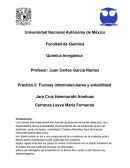 Facultad de Química Química Inorgánica