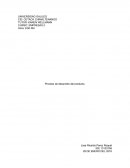 Proceso de desarrollo del producto.