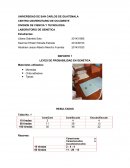 DIVISION DE CIENCIA Y TECNOLOGIA LABORATORIO DE GENETICA