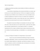 Taller de ecología humana