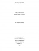 Apuntes de Seguridad industrial.