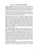CAPITULO 4: UNA RED DE SEGURIDAD DÉBIL.