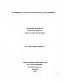 MEJORAMIENTO DEL PROCESOS DE PRODUCCION DE JUGOS DE NARANJA