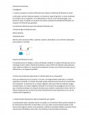 ¿Cómo se prepara un lecho de filtración para mejorar la eficiencia de filtración al vacío?