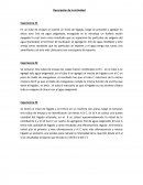 Descripción de la Actividad