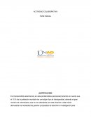 Importancia de la discapacidad