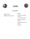 Ensayo Problemas relacionados con la obesidad
