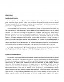 Fuerzas fundamentales de la naturaleza.
