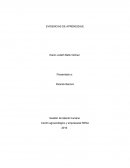 Gestión de talento humano.