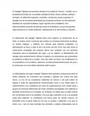 El manglar Tajamar