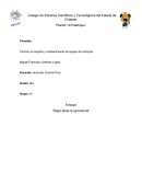 Técnico en soporte y mantenimiento de equipo de cómputo.