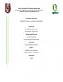 CAPÍTULO II. MÓLDELOS PARA LA DEFINICIÓN Y MANEJO DE INVENTARIOS