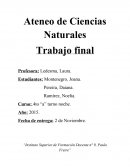 Planificación educación sexual integral.