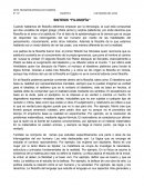 Síntesis de filosofia