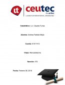 Aplicación de conceptos 2 y 3 del capítulo 7