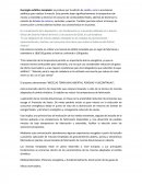 Hormigón asfáltico templado: Solución sostenible para la pavimentación con beneficios ambientales y económicos