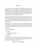 El color de la flor será variado según las características que posea y las presentaciones, el peso ira distribuido en diferentes clases de empaques biodegradables, irán principalmente en presentaciones grande, mediana, pequeña.