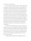 Principales vectores de la diversidad cultural