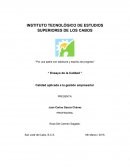 La Calidad aplicada a la gestión empresarial.