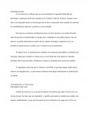 ANÁLISIS DE LA VOZ (VSA)