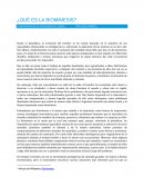 ¿Qué es la biomímesis?