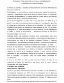 DERECHOS TUTELADOS POR LA C.R.B.V y LEGITMIDAD ANTE LA JURISDICCION CONSTITUCIONAL