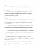 Tarea de investigación de derechos humanos.