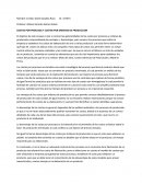 Ensayo de costos por procesos y ordenes de producción