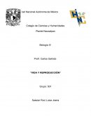 VIDA Y REPRODUCCIÓN.