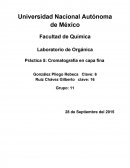 La Cromatografía en capa fina.