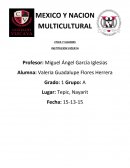 MEXICO Y NACION MULTICULTURAL