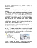 El alumno se familiarizará con el uso del polarímetro, y realizará una determinación cuantitativa.