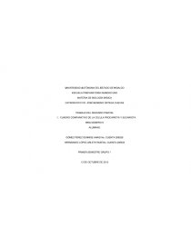 Cuadro Comparativo Entre La Celula Procariota Y Eucariota