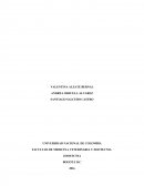 PROGRAMA DE ZOOTECNIA UNAL Y UNIAGRARIA