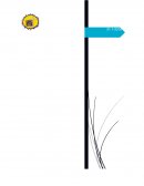 La caja Chica de la empresa “El Zapato Roto, S.A.”