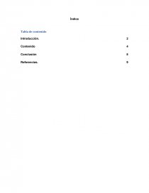 Examen reporte de estudio de mercado. Página 3