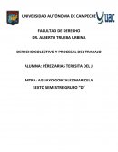 Derecho colectivo del trabajo.