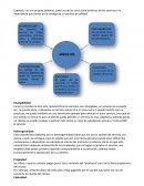 Caracteristicas de los servicios.