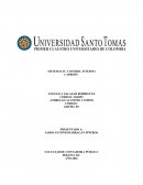 SISTEMAS IV. CONTROL INTERNO CADBURY