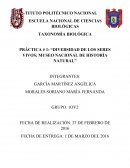 PRÁCTICA # 1: “DIVERSIDAD DE LOS SERES VIVOS; MUSEO NACIONAL DE HISTORÍA NATURAL”
