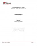 Actividad – Agencias de Aduana