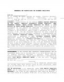 DEMANDA EN PARTICION DE BIENES RELICTOS