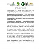 ESPECIES INVASIVAS