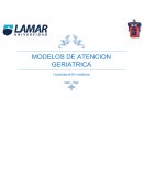 Modelos de atencion geriatrica