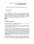 TRABAJO DE INVESTIGACIÓN PARA EXPORTACIÓN DE REMOLQUES