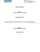¿Qué tipo de sociedad mercantil me conviene según mi actividad?